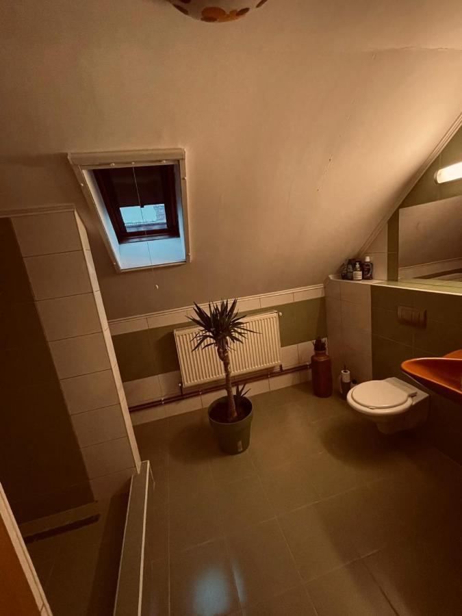 Casa Verde Foeni Extérieur photo